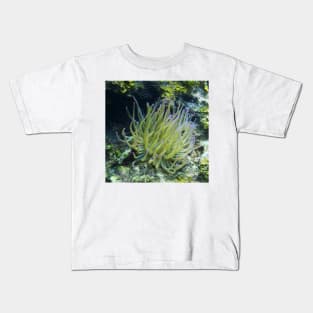 Pink Tipped Giant Sea Anemone Kids T-Shirt